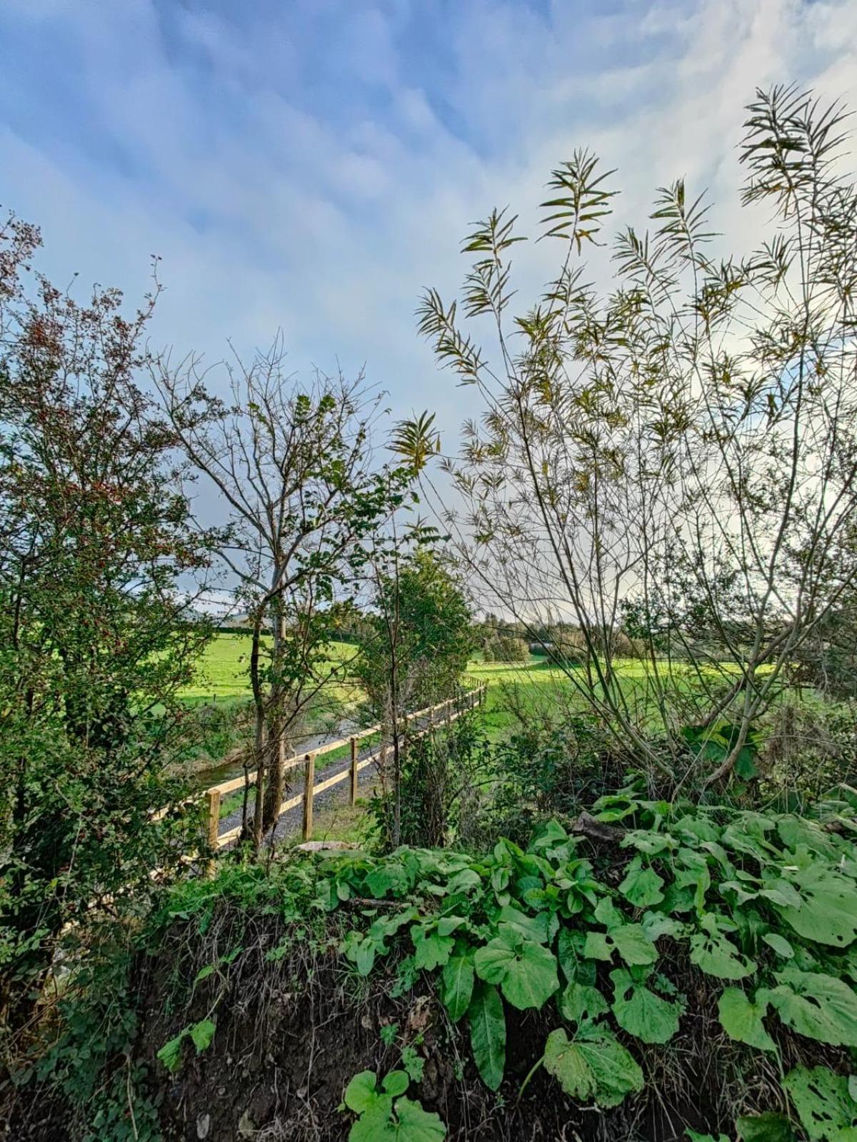 Riverside Cabin Limerick Junction Exterior foto
